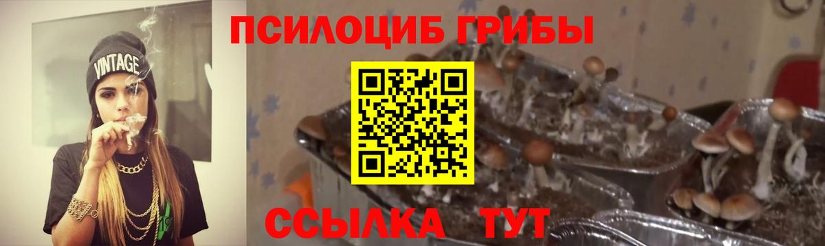 Галлюциногенные грибы мухоморы Соль-Илецк